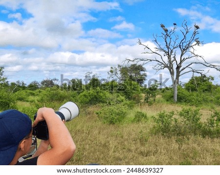Safari Photographing in Kruger national Park, S.A