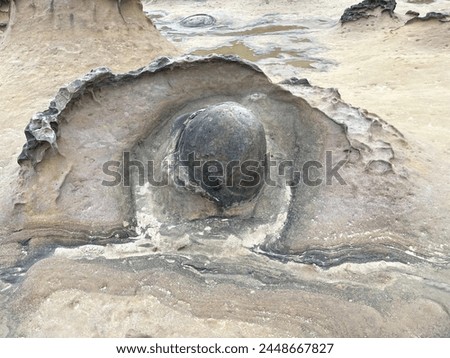 Sandstone erosion texture for background Royalty-Free Stock Photo #2448667827