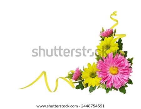 Yellow and pink chrysanthemum flowers and waved ribbon in a corner floral arrangement isolated on white Royalty-Free Stock Photo #2448754551