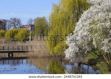 The picturesque public park is an integral part of the Goclaw housing estate in the Praga-Poludnie district. Warsaw, Poland.
 Royalty-Free Stock Photo #2448761281