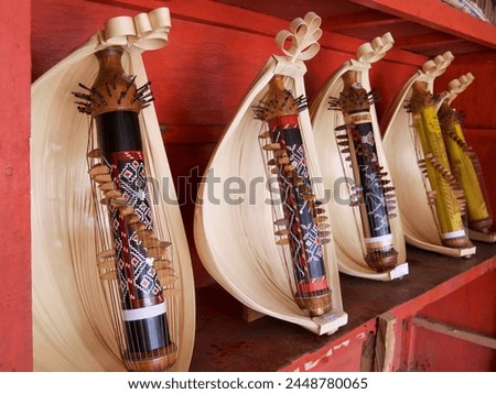 Close up of row of traditional , hand-made stringed musical instrument from West Timor, Indonesia Royalty-Free Stock Photo #2448780065