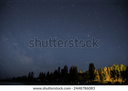 Night on the shores of Lake Issyk Kul, selective focus,