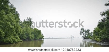 Nature pictures with river and watt trees  for background texture