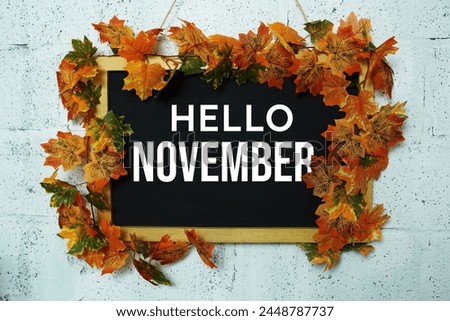 Hello November text message on Blackboard decoration with maple leaves hanging on a concrete wall background