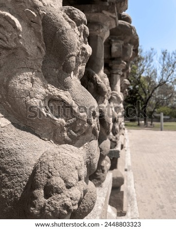 The pillars of the Kailasanathar Temple also referred to as the Kailasanatha temple, Kanchipuram, Tamil Nadu, India. It is a Pallava era historic Hindu temple.  Royalty-Free Stock Photo #2448803323