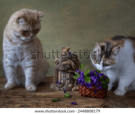 Two cats and basket of violet flowers