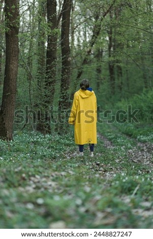person walking in the forest
