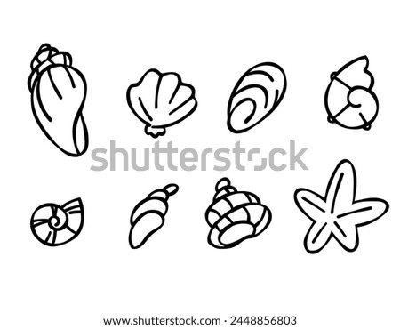 Set of seashells in doodle style, black outline sketch isolated elements on white background for design template. Ocean flora. Coloring. Clip art