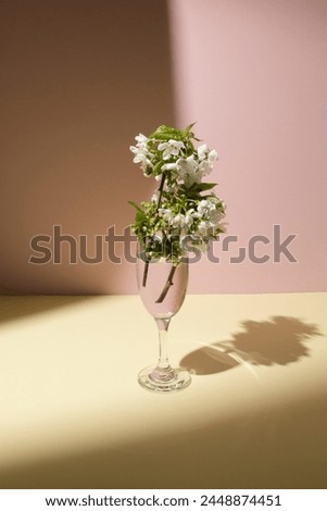 Cherry flowers in the wine glass on a table. Sunny day concept