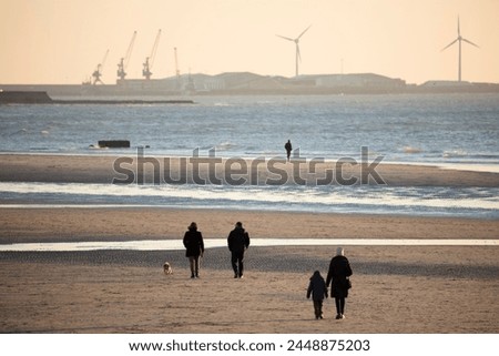 Walkers on the beach at sunset with docks of Boulogne-sur-Mer behind, Wimereux, Pas-de-Calais, Hauts-de-France region, France, Europe Royalty-Free Stock Photo #2448875203