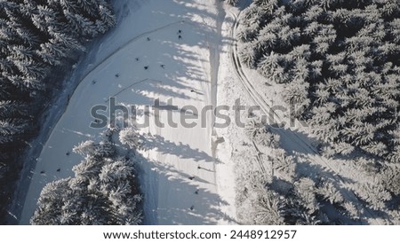 Top down snow mountain slope aerial. Tourists ski, snowboard. People at fir forest on mount hill. White snowy nature landscape. Travel lifestyle. Cinematic Carpathians, Bukovel, Ukraine, Europe