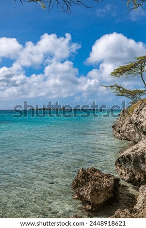 Aruba coast looking north from Mangle Halto towards De Palm Island Royalty-Free Stock Photo #2448918621