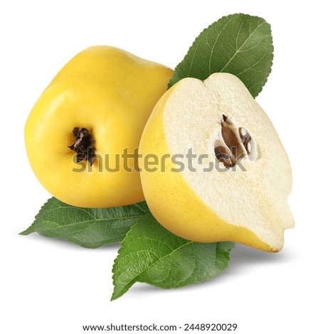 Delicious fresh ripe quinces with leaves isolated on white