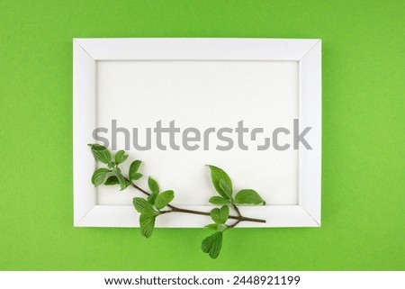 white wooden photo frame and branch with leaves on isolated green background with copy space and place for your text.