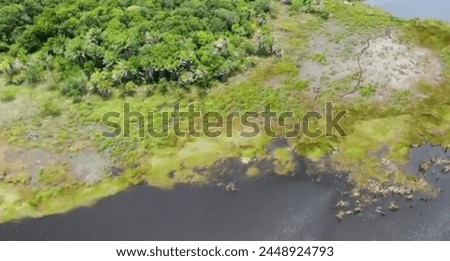 Amazon Landscaping green natural crazy natural picture asset for free in future planting trees are made green worlds, discover in many diversity animal supply amazing cool scene.