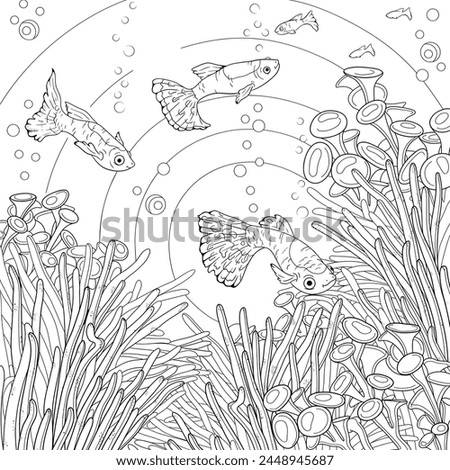 In the water nature beautiful fish,colouring page