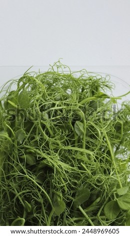 Young Shoots Of Pea Grass For Salad Decoration In Plastic Tray Isolated On White. Stock Photo For Healthy Nutrition Vertical Story  
