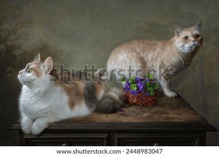Two cats and basket of violet flowers