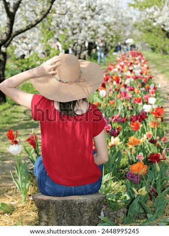 Young girl with straw boater hat in the field of flowers Tulips in spring Royalty-Free Stock Photo #2448995245