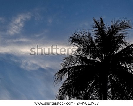 Nature’s silhouette coconut trees embrace the dawn, as the morning sun kisses the tranquil blue sky.