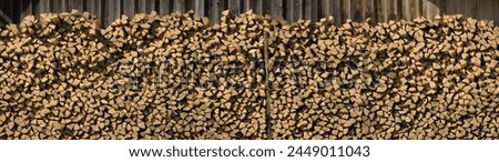 
panorama of many stacked harvested birch firewood
