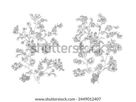 Blossom tree Clip art, set of elements for design Vector illustration. In chinoiserie, botanical style Isolated on white background.