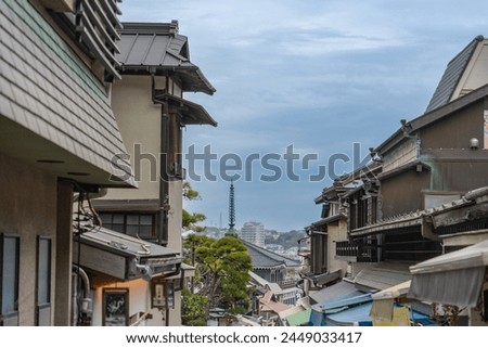 Japan Travel Photography - Walking in a Japanese Traditional Wooden House.