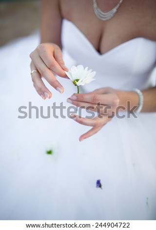 The bride guesses on a chamomile . The girl tears off the petals of daisy.