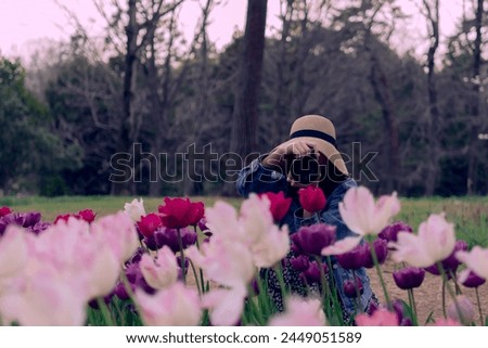 
A woman taking pictures of beautiful tulips blooming in a forest park