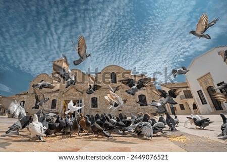 Pigeons flying in front of the 9th century Greek Orthodox Church of Ayios Lazarus in Larnaca, southern Cyprus. Known as Church of Saint Lazarus. Low wide angle view Royalty-Free Stock Photo #2449076521