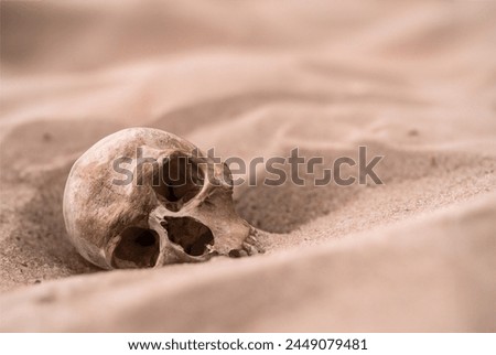 A Human Skull Emerging From A Desert Burial Royalty-Free Stock Photo #2449079481