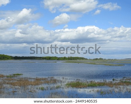 The scenic beauty of the wetlands within the Bombay Hook National Wildlife Refuge, Kent County, Delaware. 