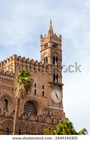 Bell tower of Palermo Cathedral, framed by a palm tree against a blue sky, showcasing its historic clock