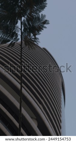 A tall building with curved lines, tall tree on the left side of photo, grey sky, photo taken from street level looking up at skyscraper, photo realistic, high resolution, architectural photography