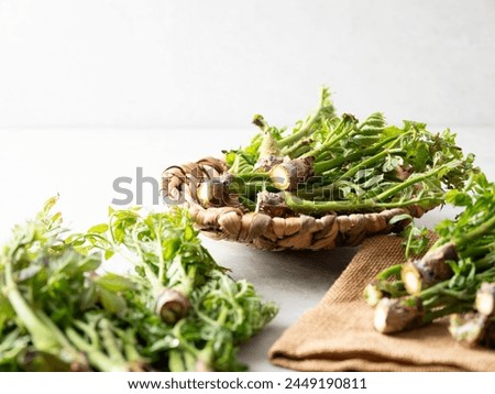 edible shoots of a fatsia Royalty-Free Stock Photo #2449190811