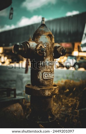 Photo of a Fire Hydrant