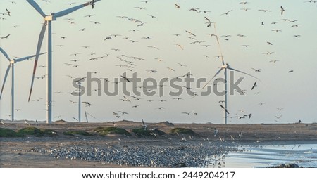 Seabirds fill the sky in a dance, wind turbines rise, merging nature and technology in a fascinating photo
