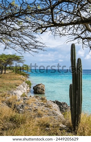 Mangle Halto Lagoon with cactus in the foreground Royalty-Free Stock Photo #2449205629