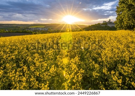 Landscape at sunrise. Beautiful morning landscape with fresh yellow rapeseed fields in spring. Small castle in the yellow fields on a hill. Historic Ronneburg Castle, Ronneburg, Hesse, Germany Royalty-Free Stock Photo #2449226867