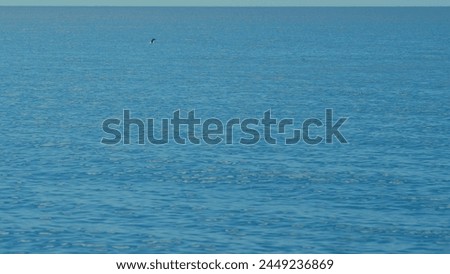 Dynamic Liquid Background. Cinematic Sea Wave In Nature Location.