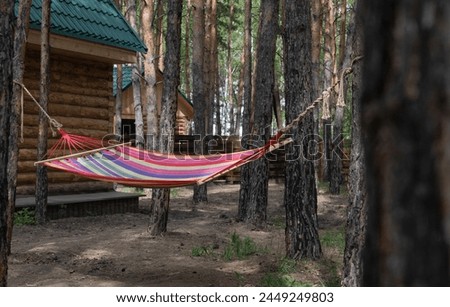 Beautiful young woman relaxing in hammock in forest. Summer scenery, a beautiful morning in the bosom of nature. The girl admires the views and nature. Breathed fresh air. Beautiful morning light. Royalty-Free Stock Photo #2449249803