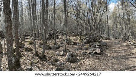 Panoramic photo on Walking Path in the forest. Autumn season dried leaves in the forest. Panoramic Photography