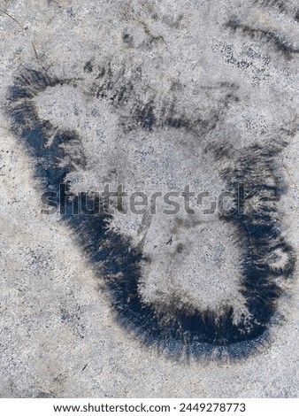 a photography of a heart shaped imprint in the snow.