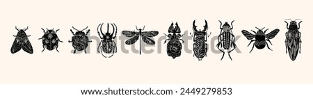 Set of various insect silhouettes in linocut style. Trendy vector illustration.