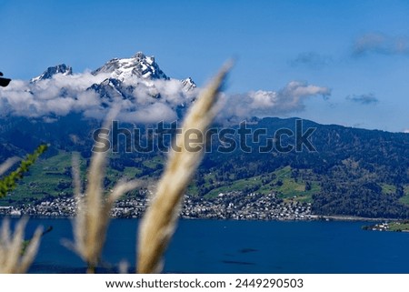Scenic view of red plant with Swiss mountain Pilatus in the background on a sunny spring day. Photo taken April 11th, 2024, Kehrsiten, Switzerland.