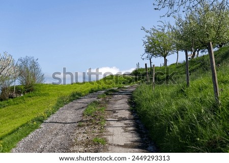 Diminishing perspective of winding rural road at Swiss village of Kehrsiten on a sunny spring day with orchard and blue sky background. Photo taken April 11th, 2024, Kehrsiten, Switzerland. Royalty-Free Stock Photo #2449293313