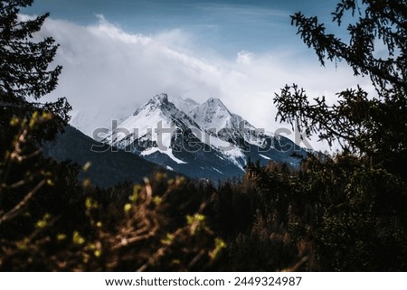 Snowy mountain peaks framed by trees and branches, blue sky, clouds