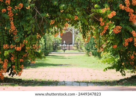 Backdrop flower garden for party or photography