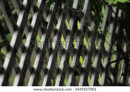 Picture of a wooden fence creating beautiful pattern of light and shadow. The tree branches are adding a nice little magic of enhancing the view