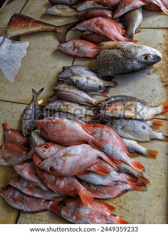 Pile of sea fish for sale at a roadside market